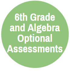 Optional Assessment 
